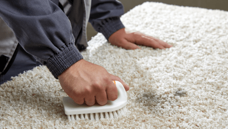 Professional Rug Cleaning Knoxfield