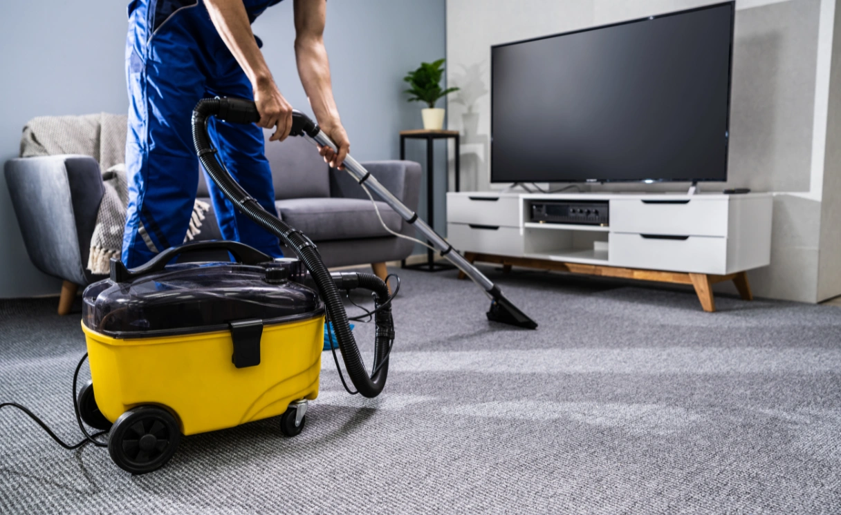 Extract Rug Cleaning Knoxfield Contact Office